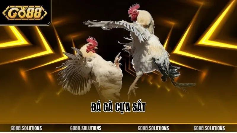đá gà cựa sắt
