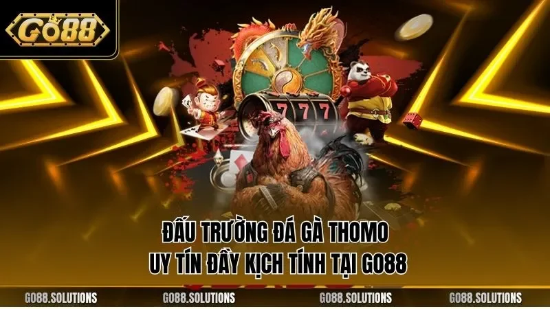 Đấu trường đá gà Thomo uy tín đầy kịch tính tại GO88