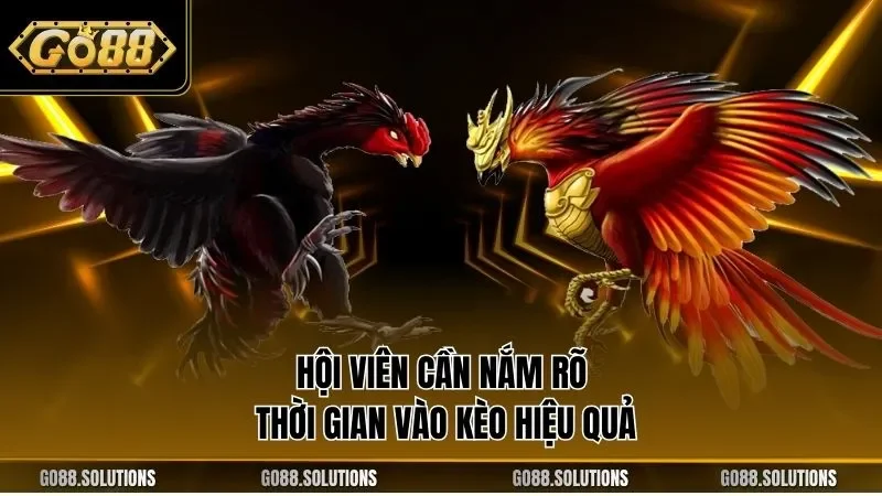 Hội viên cần nắm rõ thời gian vào kèo hiệu quả