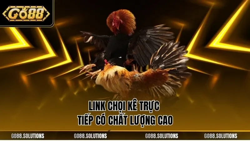 Link chọi kê trực tiếp có chất lượng cao