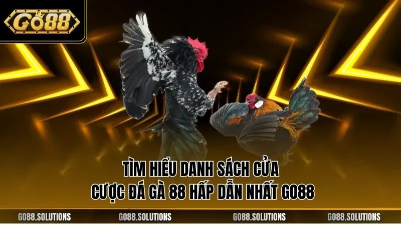 Tìm hiểu danh sách cửa cược đá gà 88 hấp dẫn nhất GO88